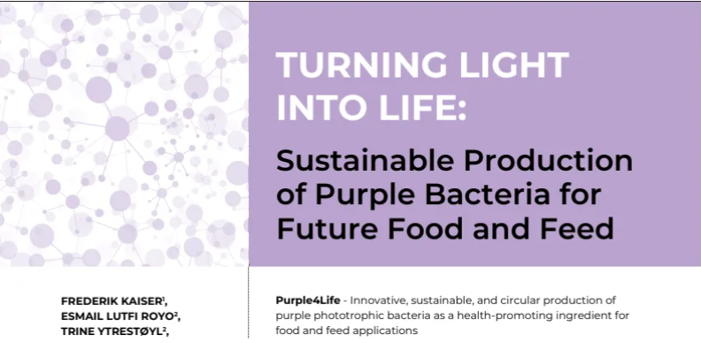 Turning Light Into Life – Purple4Life in Aquaculture Europe Magazine (opens in a new window)